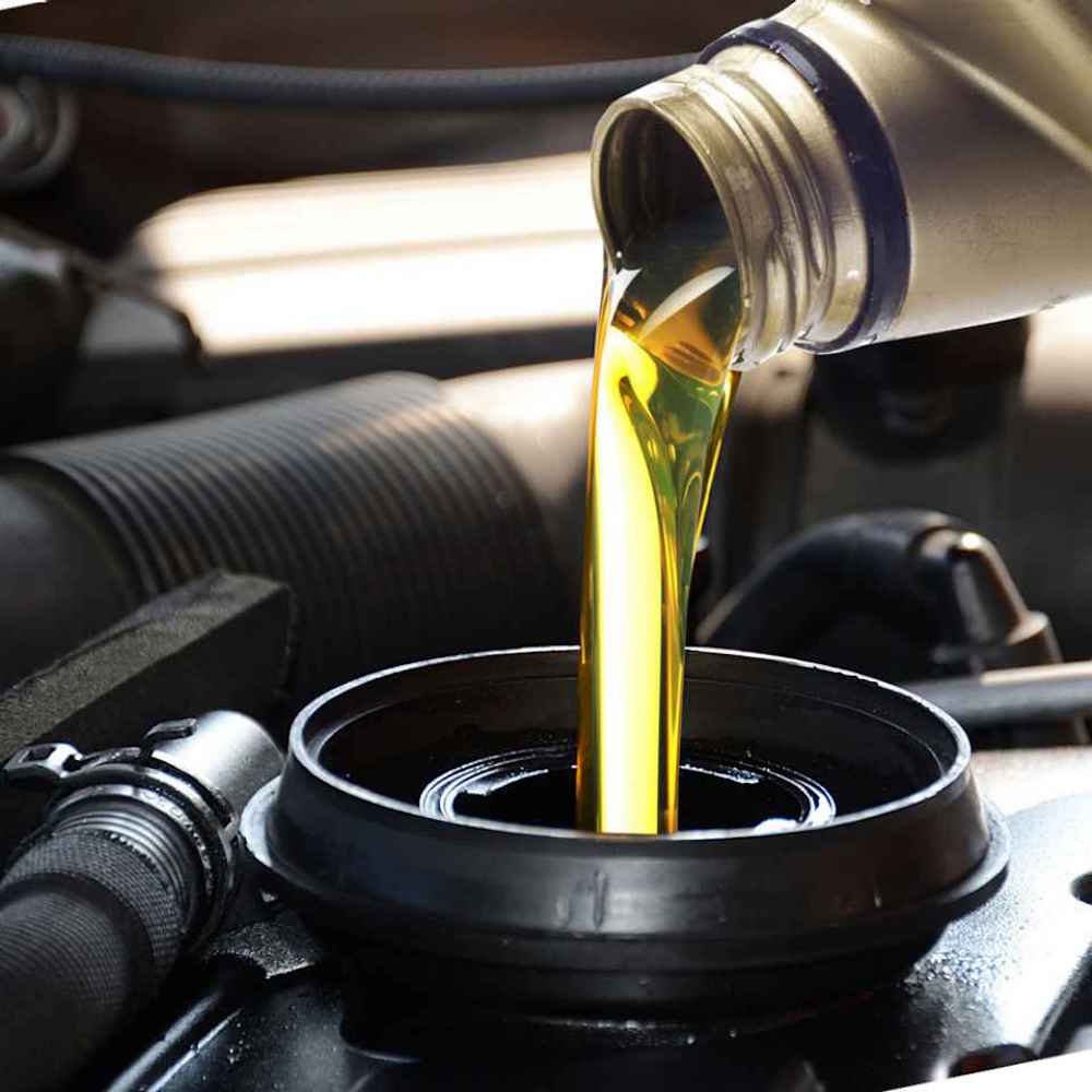 NEW Savings on oil